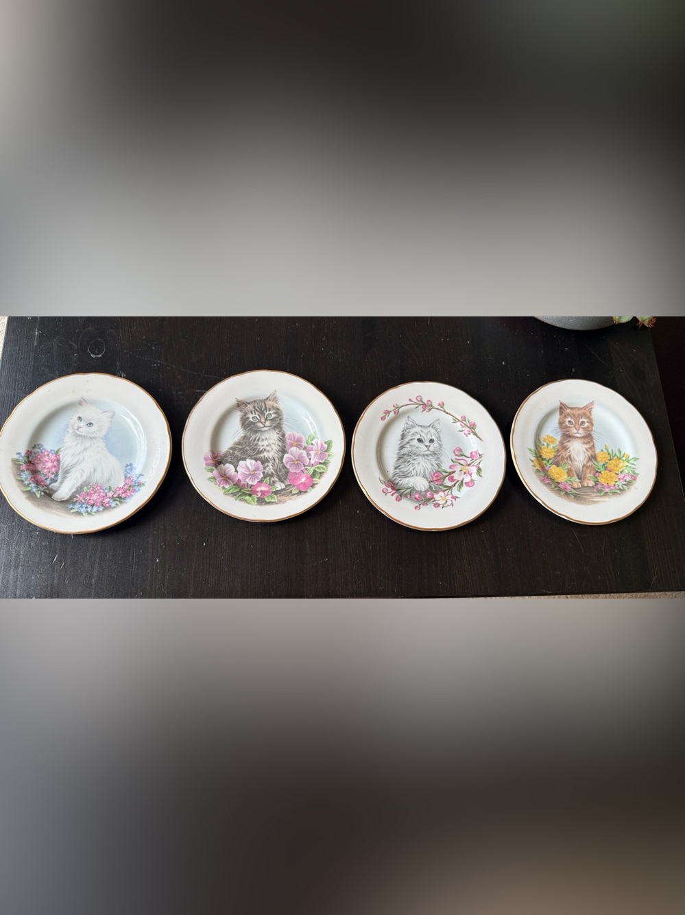 Vintage Crown Trent Kitten Plates Set of 4 Fine Bone China